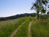  Blick auf die Wanderstrecke auf dem Simetzberg 