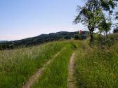  Blick auf die Wanderstrecke auf dem Simetzberg 