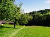  Blick auf die Wanderstrecke 