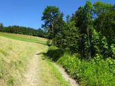  Blick auf die Wanderstrecke 