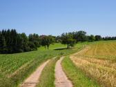  Wanderroute zur Gehftgruppe Hasenberg 