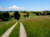  Blick auf die Wanderstrecke 