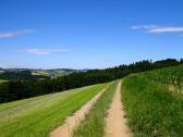  Wanderroute auf dem Reselberg 