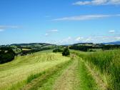  Wanderroute auf dem Wolfsberg 