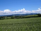  Fernblick nach Wolfsbach 