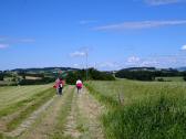  Wanderroute auf dem Wolfsberg 