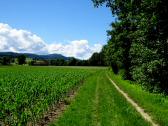  Wanderroute entlang der Melk nach Oberndorf 