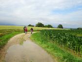  Blick auf die Wanderstrecke 