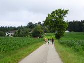 Blick auf die Wanderstrecke bei der Streusiedlung Schnbuch 