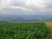 der schne Fernblick nach St. Leonhard am Forst und nach Ruprechtshofen 