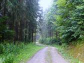  Blick auf die Wanderstrecke auf dem Hiesberg 