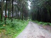  Blick auf die Wanderstrecke auf dem Hiesberg 