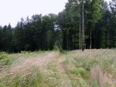  Blick auf die Wanderstrecke auf dem Hiesberg 