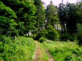  Blick auf die Wanderstrecke auf dem Hiesberg 