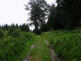  Blick auf die Wanderstrecke auf dem Hiesberg 