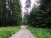  Blick auf die Wanderstrecke auf dem Hiesberg 