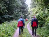  Blick auf die Wanderstrecke auf dem Hiesberg 