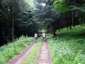  Blick auf die Wanderstrecke auf dem Hiesberg 