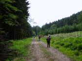 Wanderroute auf dem Weitwanderweg 05 nach Gro Weichselbach 