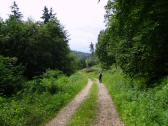 Wanderroute auf dem Weitwanderweg 05 nach Gro Weichselbach 