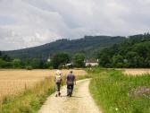  Blick auf die Wanderstrecke nach Gro Weichselbach 