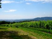 sehr schner Fernblick nach Wien und zum Leopoldsberg und Kahlenberg