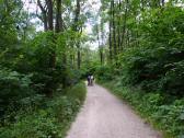  Blick auf die Wanderstrecke auf dem Bisamberg 