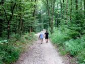  Blick auf die Wanderstrecke auf dem Bisamberg 