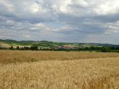  Fernblick nach Growetzdorf 