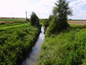  Blick auf die Schmida Richtung  Ziersdorf 