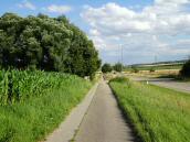 Blick auf die ebene Wanderstrecke zurck nach Glaubendorf 