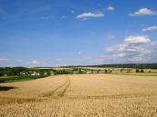  nochmals der Fernblick nach Dippersdorf 