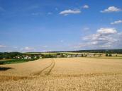  nochmals der Fernblick nach Dippersdorf 