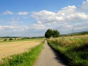 Blick auf die ebene Wanderstrecke zurck nach Glaubendorf 