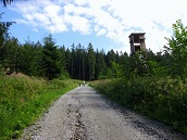 Blick auf die Wanderstrecke durch den Forst des Ostrong 