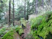  Wanderweg bergab zum "Kleinen Peilstein" 