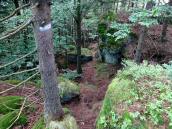  Wanderweg bergab zum "Kleinen Peilstein" 