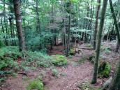  Wanderweg bergab zum "Kleinen Peilstein" 