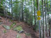  Wanderweg zum "Kleinen Peilstein" 