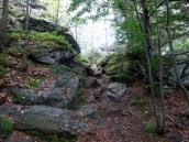  Wanderweg kurz bergan zum "Kleinen Peilstein" 