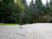 wieder an der Wegkreuzung beim Birkenkreuz - Primizkreuz 