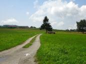  Wanderroute nach Mayerhofen 