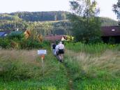  Blick auf die Wanderstrecke bei Viechtwang 