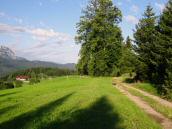  Blick auf die Wanderstrecke auf dem Hacklberg 