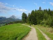  Blick auf die Wanderstrecke auf dem Hacklberg 