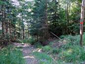  Blick auf die Wanderstrecke bergab nach Reisenberg 