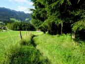  Blick auf die Wanderstrecke bergab nach Reisenberg 