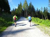  Wanderstrecke auf dem Wieserberg 