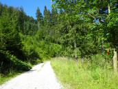  Wanderroute ber die Forststrae Jagerberg 