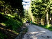  Wanderroute auf dem Forstweg Eibenstckl 